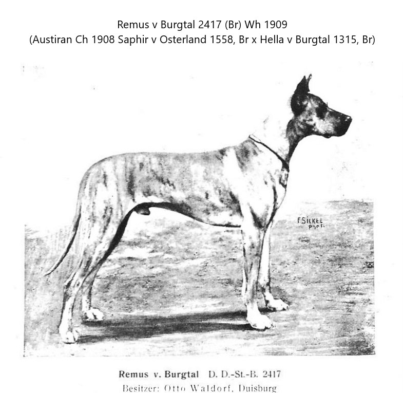 Remus v Bergtal -IV-V-22-30A